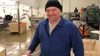 Work in Norwegian Fish Factory for winter season 2021 - Lødingen