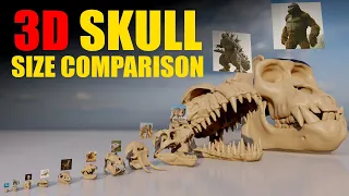 Godzilla vs Kong: Epic 3D Skull Showdown | 3D Animation