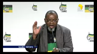ANC NEC addressed Eskom problems