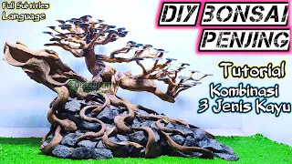 How to Make a Bonsai Tree For Aquascape - Aquarium Bonsai