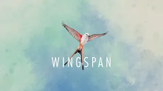 Wingspan (Digital Edition) - Let's Play