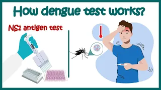 Dengue test | NS1 antigen test for Dengue | Dengue IgM & IgG antibody test | How Dengue test works