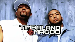 Timbaland & Magoo - It's Your Night feat. Sin (Visualizer)