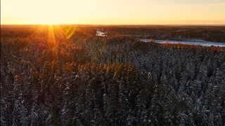 Relaxing Cinematic Reel of Estonian Nature | 4K