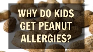 Why Are So Many Kids Allergic to Peanuts? (The Truth About Peanut Allergies)
