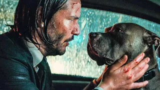 JOHN WICK 3 All Movie Clips + Trailer (2019)