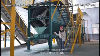 Small scale palm oil processing mill, palm oil extraction machine video
