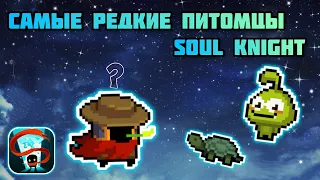 Как получить самых редких питомцев в игре soul knight