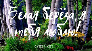 Белая берёза, я тебя люблю! White birch, I love you!