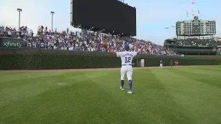 Chicago Cubs Outfielders Connection to the Wrigley Field Bleachers