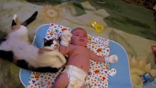 Cat: don't cry my baby!