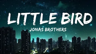 Jonas Brothers - Little Bird (Official Lyric Video)  | 30mins Trending Music