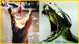 Top 10: Most Dangerous Animals You Should Run Away From