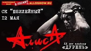 Алиса (XX лет Дурень)