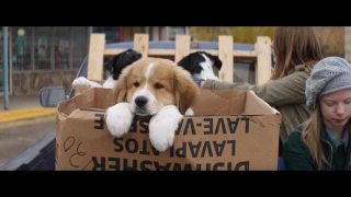 A Dog’s Purpose | Trailer | Own it now on Blu-ray, DVD & Digital