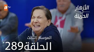 مسلسل الأزهار الحزينة | الحلقة 289 - الموسم الثالث