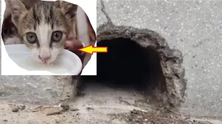 Poor Kitten who was stuck in a narrow PVC pipe