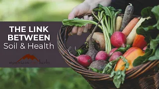 The Link Between Soil and Health