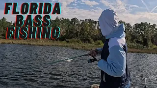 BASS FISHING FLORIDAS PRE-SPAWN