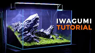 IWAGUMI AQUARIUM SETUP | Aquascaping Tutorial