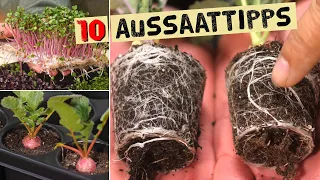 10 Aussaattipps für gesunde Jungpflanzen. So klappt es mit deinen eigenen Gemüsepflanzen.