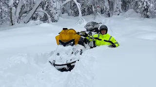 Too much snow for the Tundra 600 Ace LT