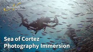 Sea of Cortez Photography Immersion with @TheMalibuArtist