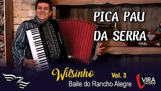 Pica Pau da Serra - WILSINHO - vol.3