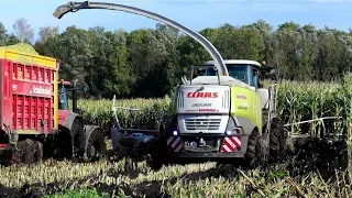 2019.Harvesting Maïze in mud. Loonb. Sandee Onstwedde.