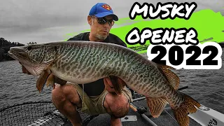 MUSKY FISHING IS BACK! Opening day success in Northwestern Ontario! Video #100!
