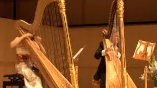 JS Bach, Toccata and Fugue in D minor, BWV 565, Harp Duet