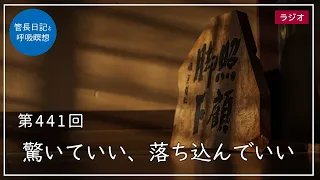 第441回「驚いていい、落ち込んでいい」2022/3/23【毎日の管長日記と呼吸瞑想】｜ 臨済宗円覚寺派管長 横田南嶺老師