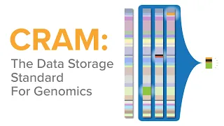 CRAM: The Data Storage Standard of Genomics