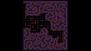 The Hamiltonian Circuit