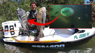 INSANE RIVER SPEARFISHING - Best I've Ever Seen!!!