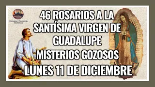 46 ROSARIOS A LA VIRGEN DE GUADALUPE: MISTERIOS GOZOSOS - GUADALUPANO / LUNES 11 DE DICIEMBRE 2023.