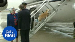 Queen encourages corgis up aircraft steps at Heathrow in 1994 - Daily Mail