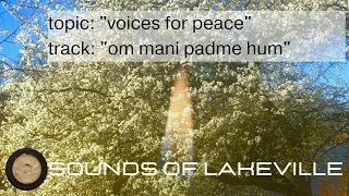 Voices for Peace (Om Mani Padme Hum) feat. Lex van Someren / spiritual electronica