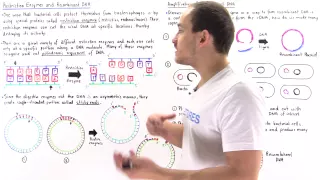 Restriction Enzymes and Recombinant DNA