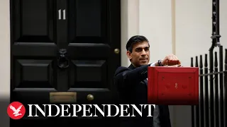 Budget 2021: Rishi Sunak cuts business rates for shops and pubs