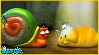 LARVA'S SECRETS | CARTOON MOVIE FOR LIFE | THE BEST OF CARTOON | HILARIOUS CARTOON COMPILATION