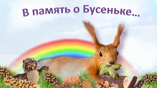 Вот такая терпеливая белка...! (В память о Бусеньке... 🙏🐿️🌈)