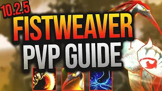 Mysticall | 10.2.5 Fistweaving PvP Guide!