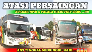 ATASI PERSAINGAN... APA NPM & PALALA RILIS UNIT BARU, ANS TINGGAL MENUNGGU HARI ‼️ MIYOR PANEN RAYA