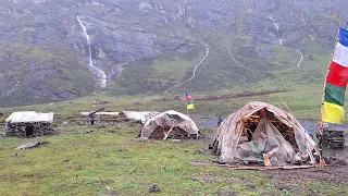 Best Himalayan Shepherd Life | Dolpa | All Compilation Video in Rainy Time | VillageLifeNepal