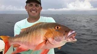 Mutton Snapper Catch Clean Cook! Tasty Tuesday! Deer Meat For Dinner!