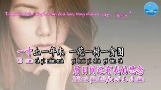Đào Hoa Nặc [桃花诺] – Đặng Tử Kỳ [邓紫棋] (Karaoke - KTV)