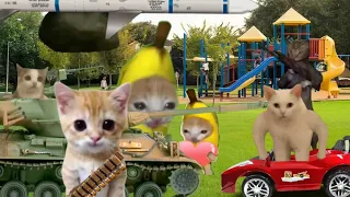 Baby Banana Cat Compilation 😺❤️ 2 Minutes #20