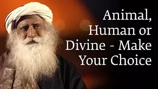 Animal, Human or Divine – Make Your Choice - Sadhguru