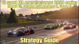 Gt sport FIA manufacturers 2020 series Strategy Guide......Group 3........Dragon trail gardens ll